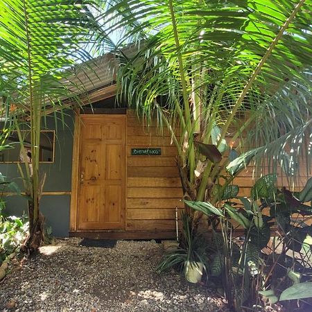 Private Jungle “Loft Del Rio” River Access Uvita Kültér fotó