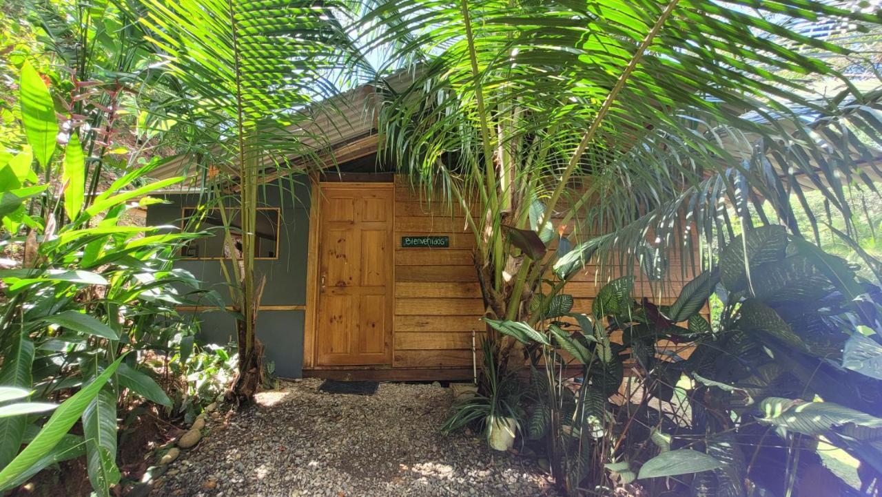 Private Jungle “Loft Del Rio” River Access Uvita Kültér fotó