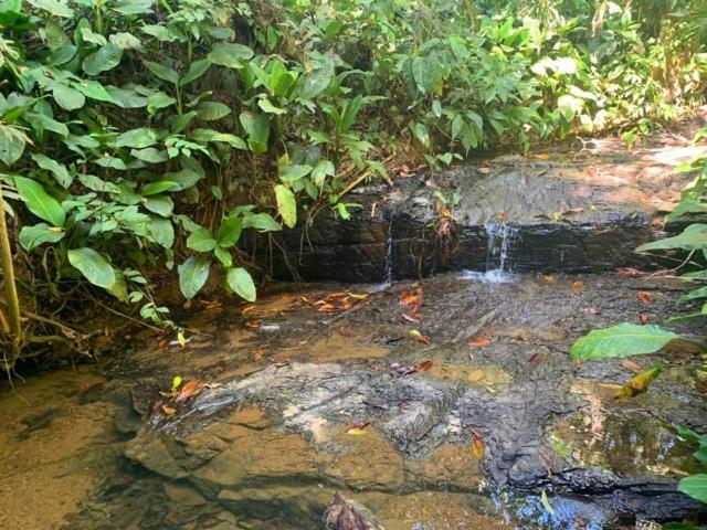 Private Jungle “Loft Del Rio” River Access Uvita Kültér fotó