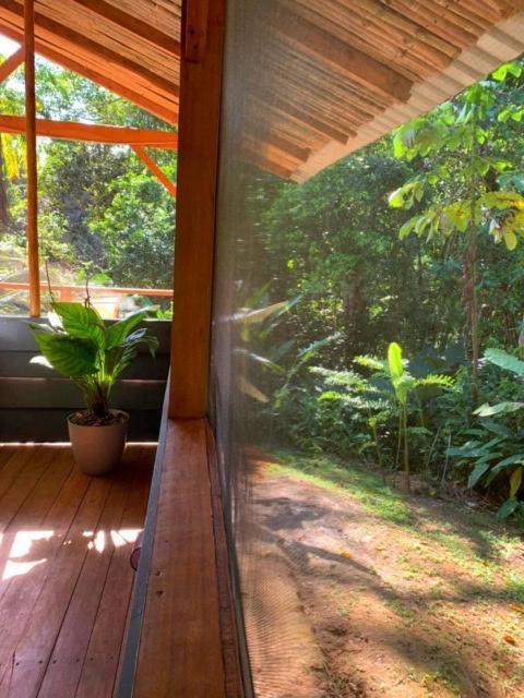 Private Jungle “Loft Del Rio” River Access Uvita Kültér fotó
